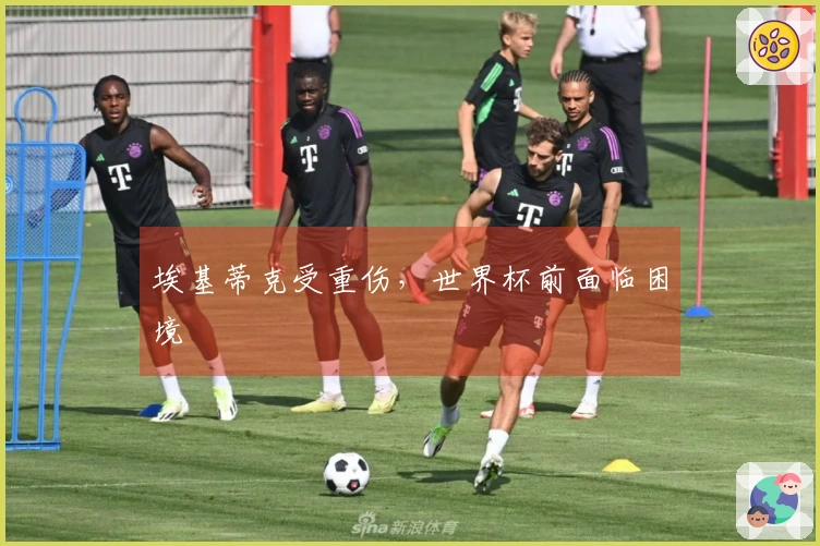 埃基蒂克受重伤，世界杯前面临困境